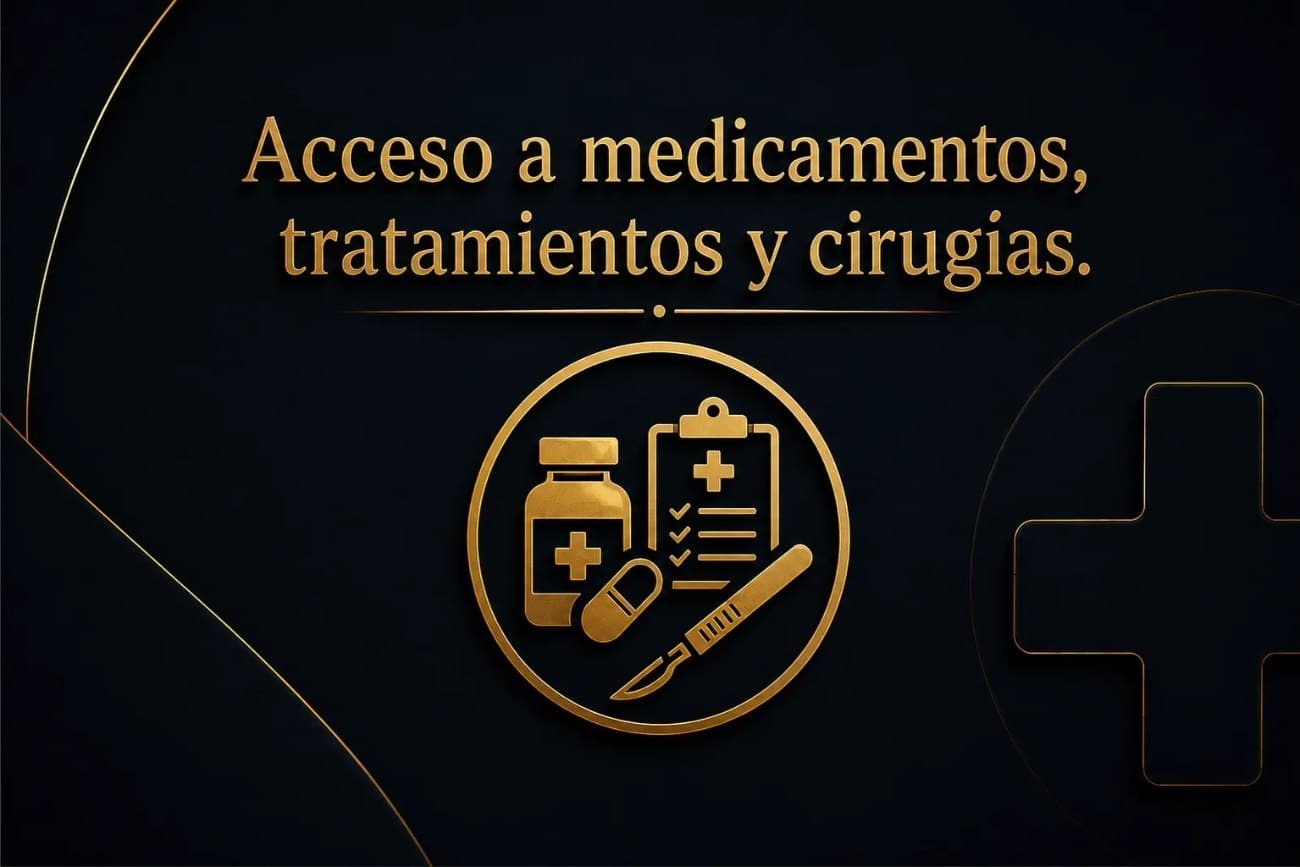 Acceso a medicamentos, tratamientos y cirugías